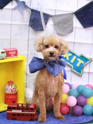 20230419おでんくん